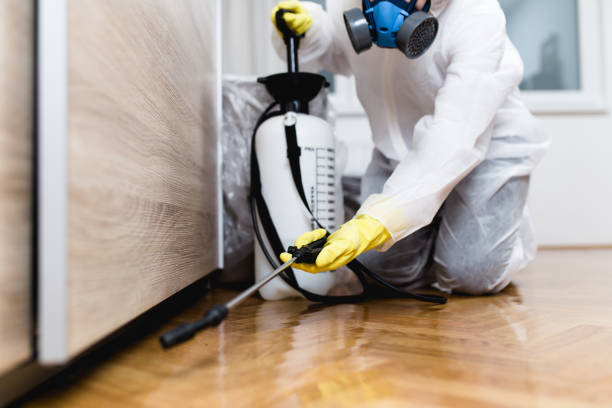 Flea Control Services in Carolina Beach, NC